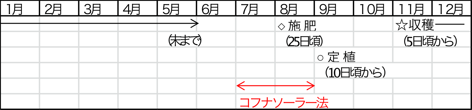 イチゴ不耕起栽培時での判断