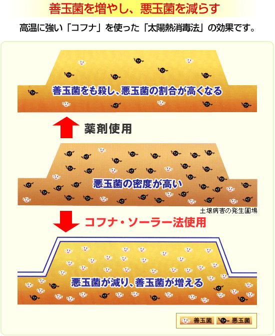 コフナ・ソーラー法とは