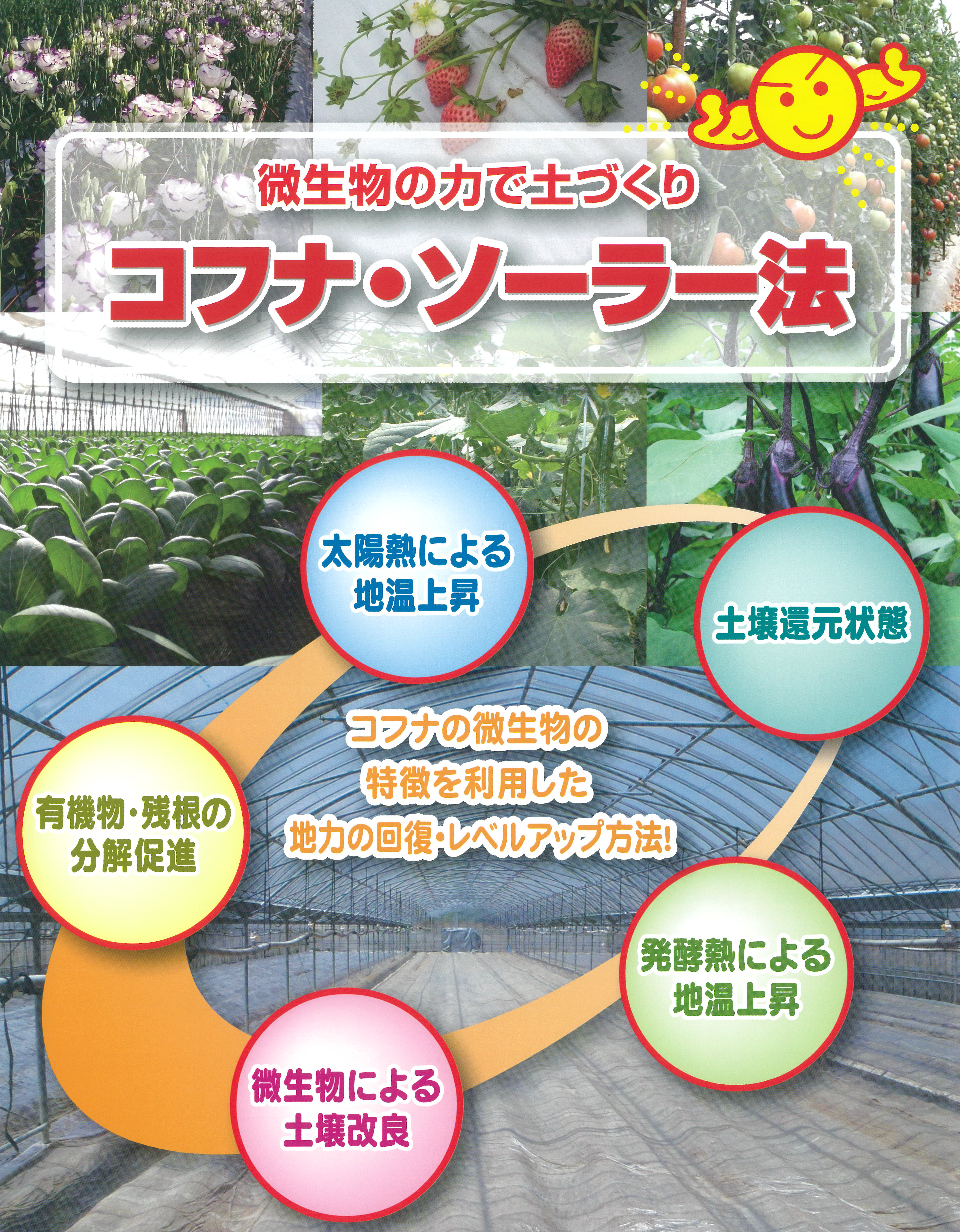 メカニズム