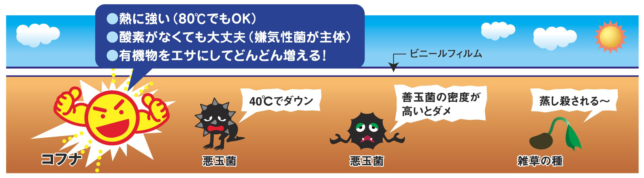 コフナ・ソーラー法