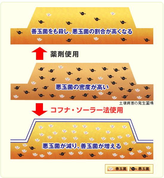 土壌消毒剤